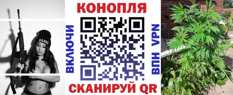 Бошки марихуана Amnesia  Купить  Боровичи 